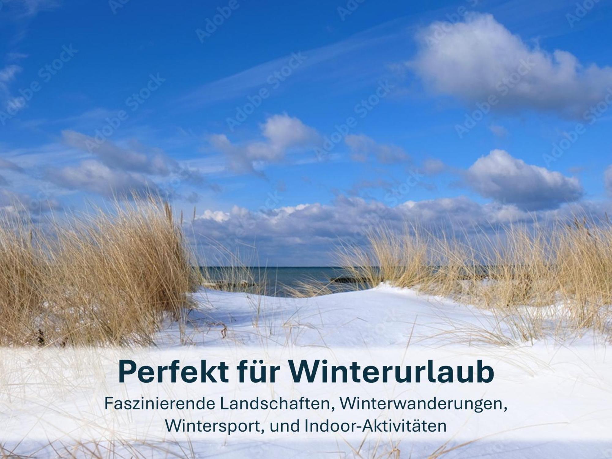 Zinnowitz, Paradies Am Wald - Wg 05 Eksteriør billede