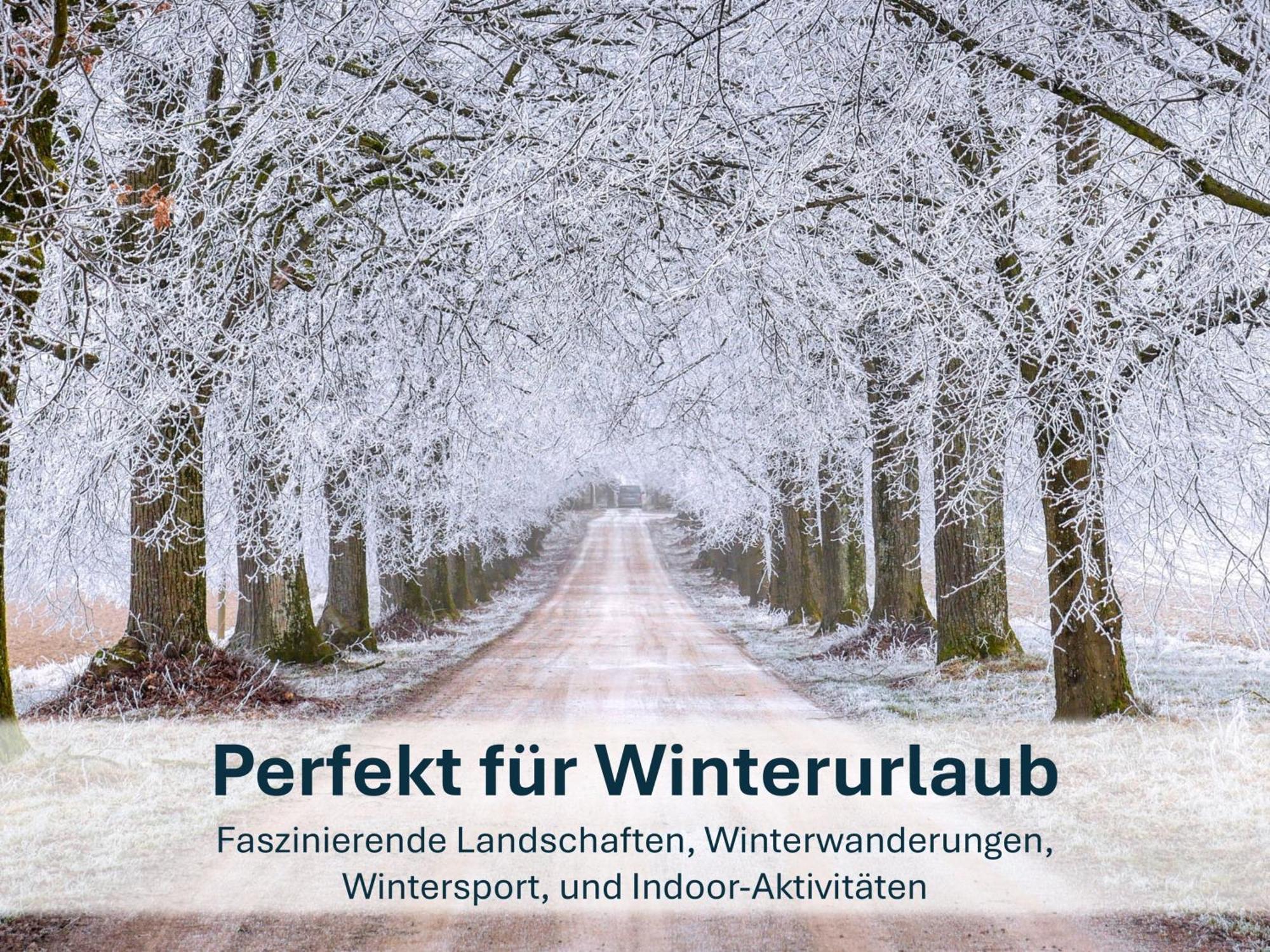 Zinnowitz, Paradies Am Wald - Wg 05 Eksteriør billede